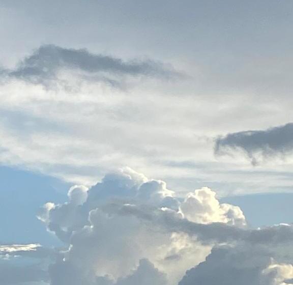 فندق صغير Long Beach Garden Resort