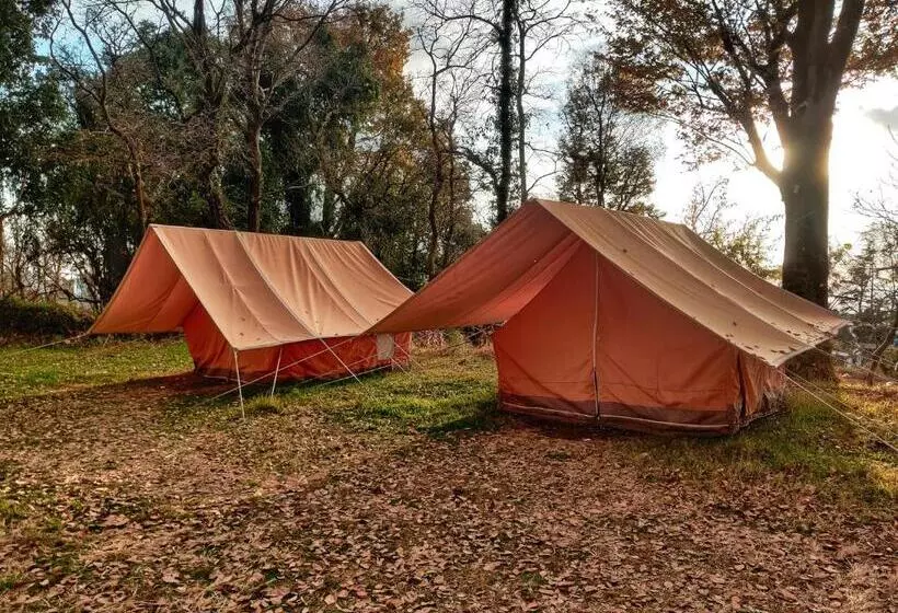 هاستل Monkey Mud House And Camps, Bir