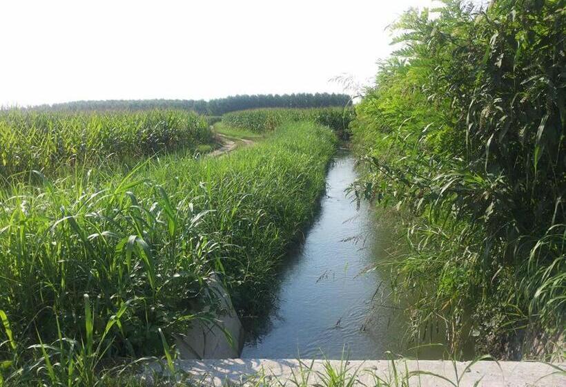 Bed and Breakfast Gaietta