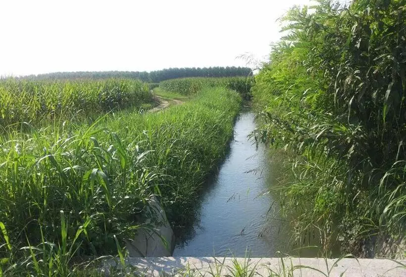 Aamiaismajoitus (B&B) Gaietta