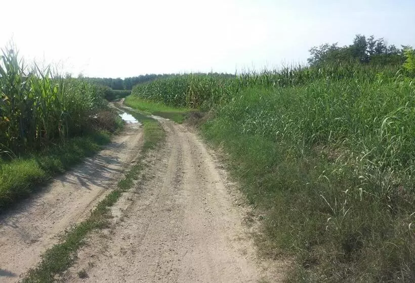 Aamiaismajoitus (B&B) Gaietta