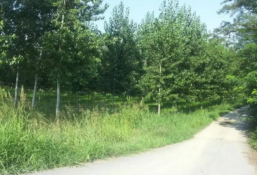 Aamiaismajoitus (B&B) Gaietta