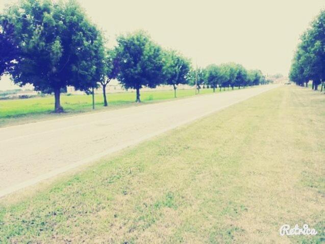 Bed and Breakfast Gaietta