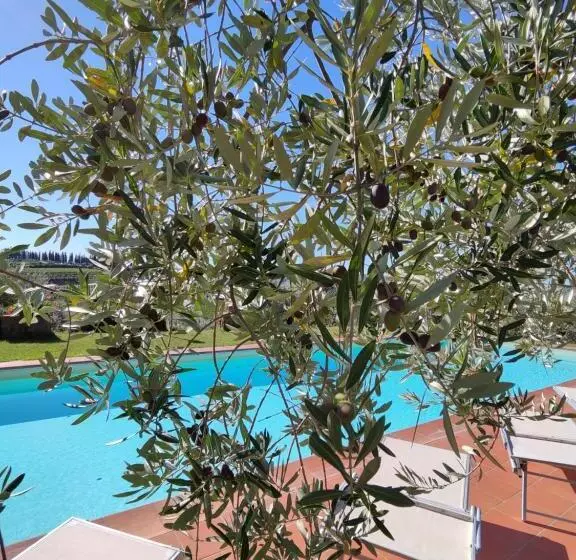 ホテル Agriturismo Sommassa