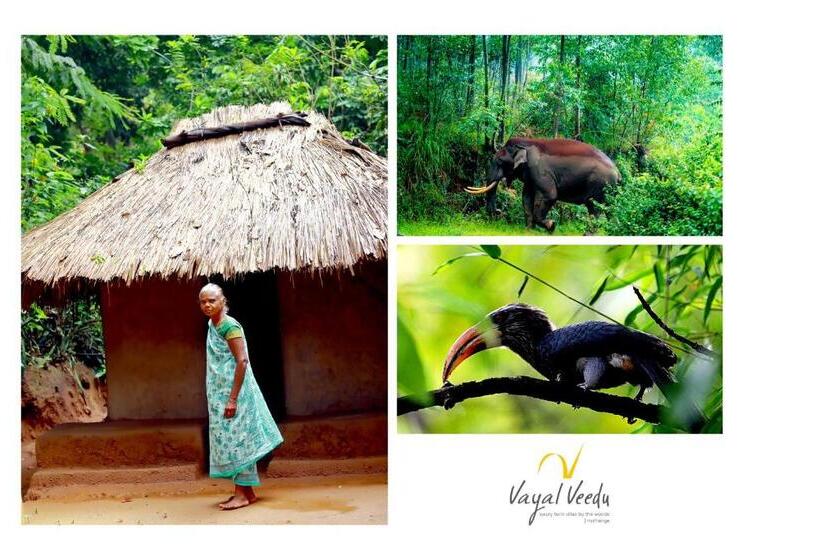 ホテル Vayal Veedu   Luxury Farm Villas By The Woods