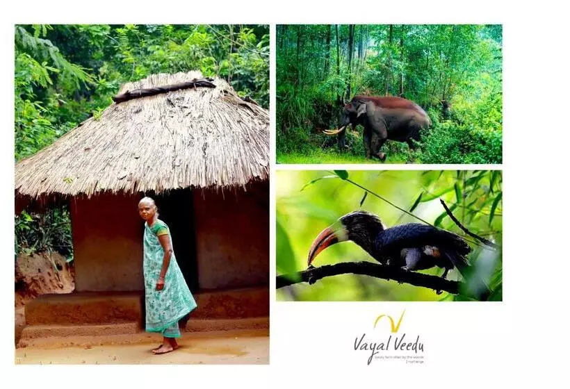 Hotelli Vayal Veedu   Luxury Farm Villas By The Woods