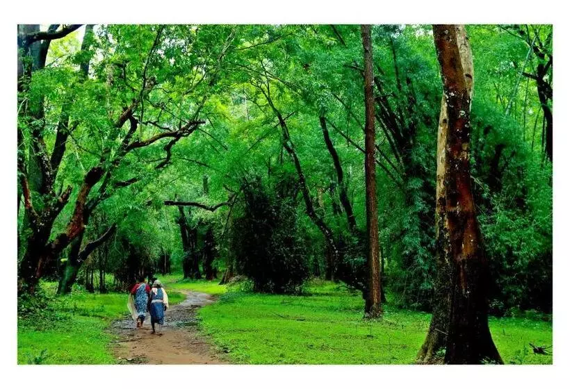 Hotelli Vayal Veedu   Luxury Farm Villas By The Woods