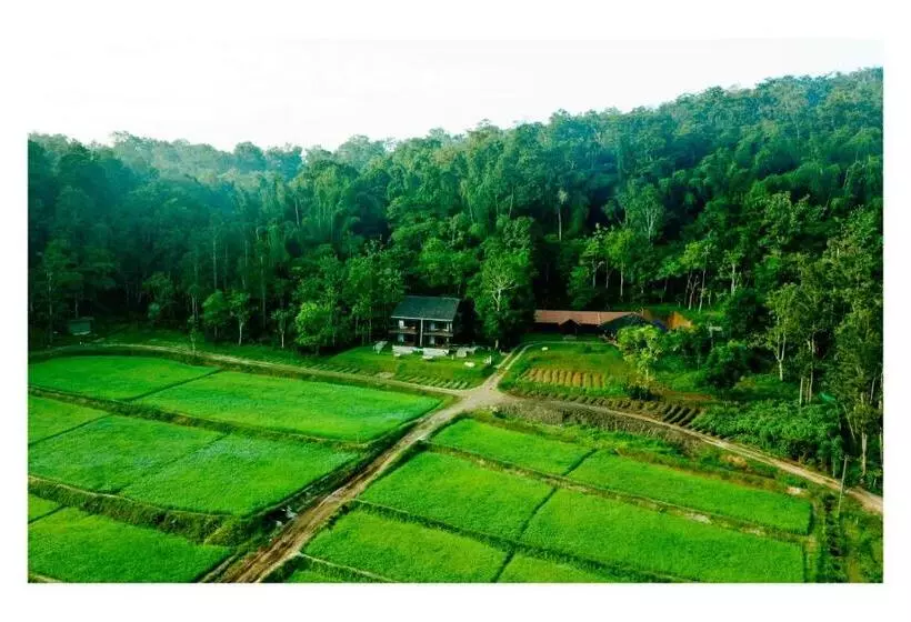 Hotelli Vayal Veedu   Luxury Farm Villas By The Woods