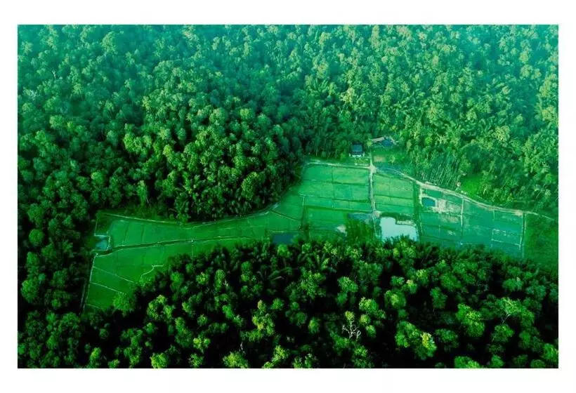 Hotelli Vayal Veedu   Luxury Farm Villas By The Woods