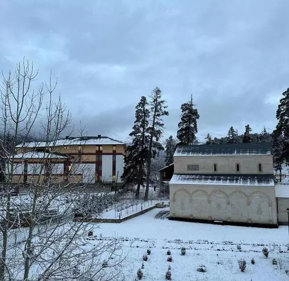 هتل Villa Bakuriani