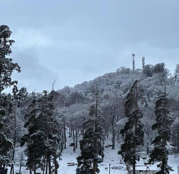 هتل Villa Bakuriani