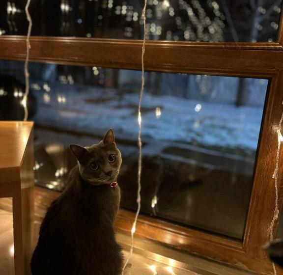 هتل Villa Bakuriani