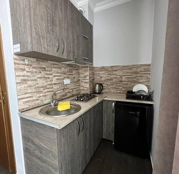 هتل Villa Bakuriani