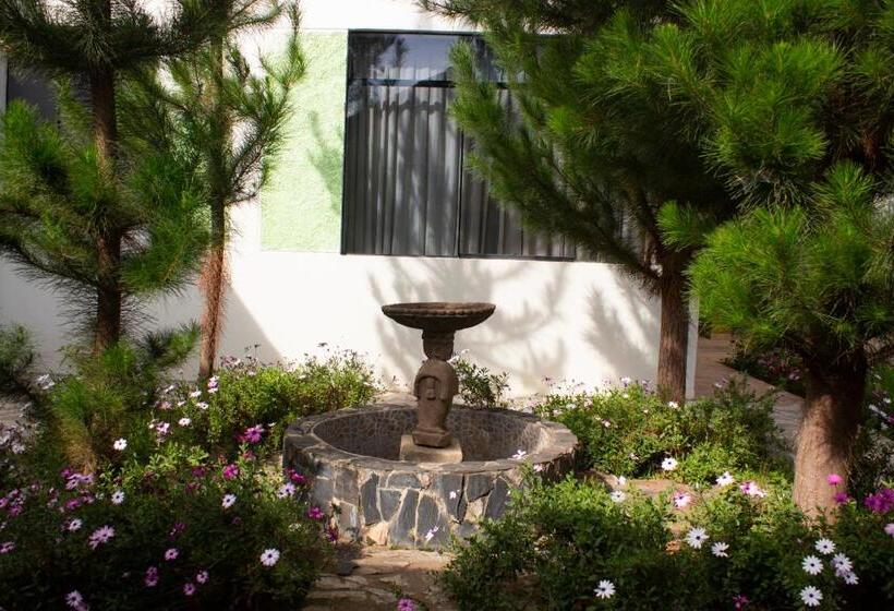 Llamita Hotel Huancayo