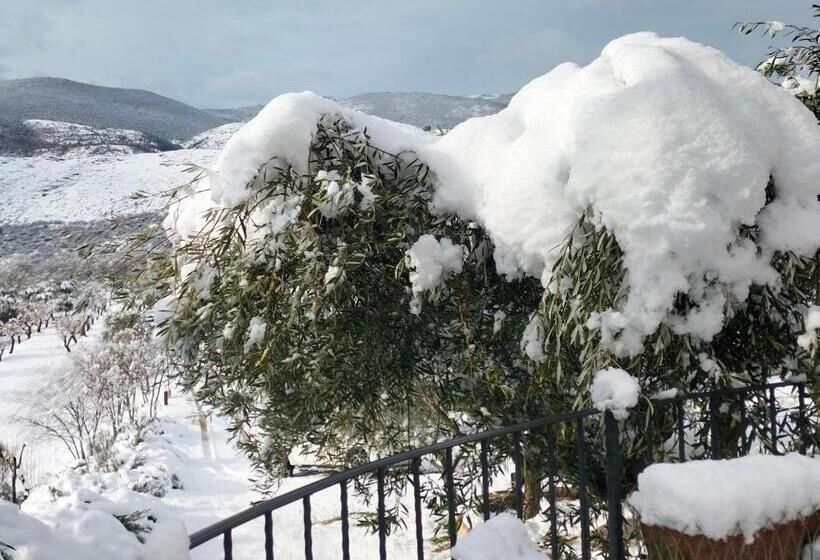 بنسيون Al Casolare