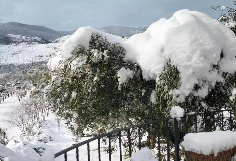 Majatalo Al Casolare