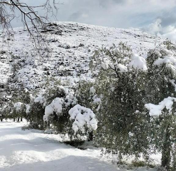 بنسيون Al Casolare