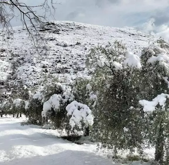 Majatalo Al Casolare