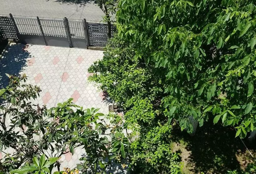 پانسیون Guest House Imereli