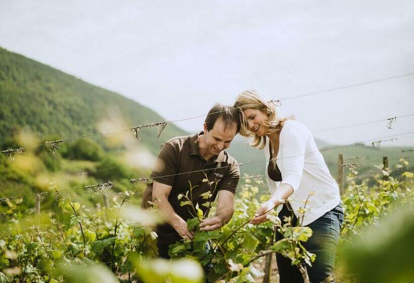 פנסיון Weingut Und Gästehaus Holger Alt