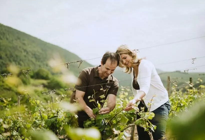 Majatalo Weingut Und Gästehaus Holger Alt