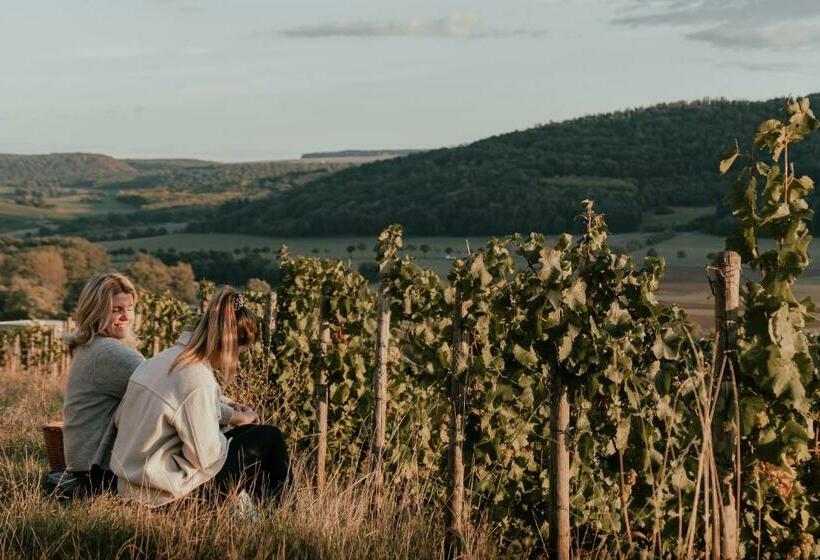 פנסיון Weingut Und Gästehaus Holger Alt