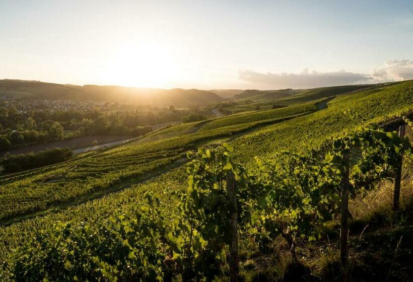 פנסיון Weingut Und Gästehaus Holger Alt