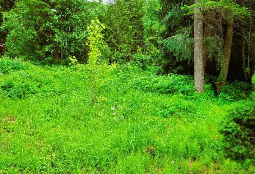 Woodcrest Bed And Breakfast