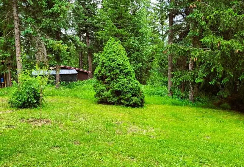 Woodcrest Bed And Breakfast