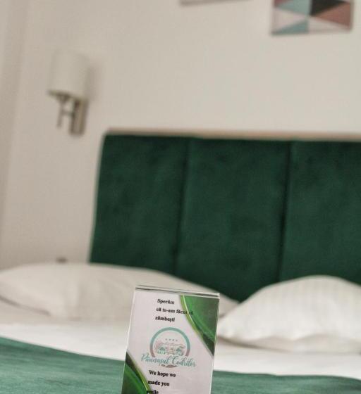 هتل Păunașul Codrilor