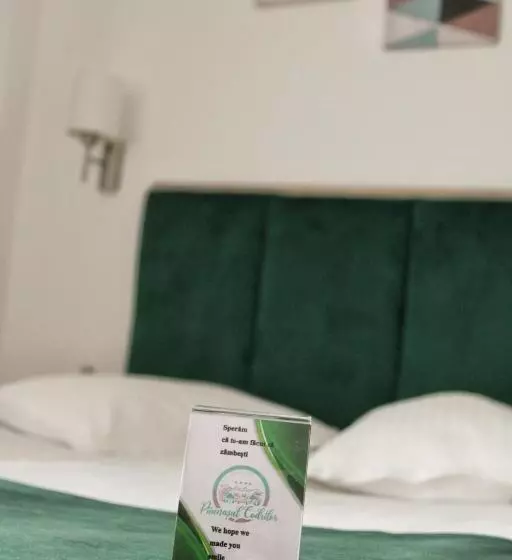 Hotelli Păunașul Codrilor