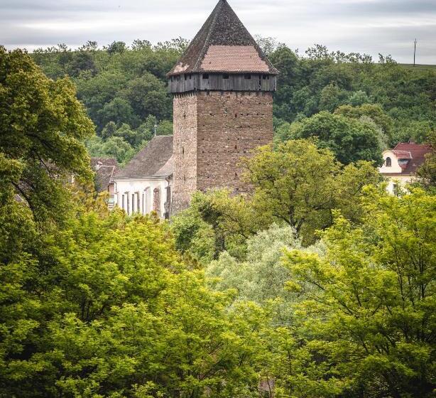 膳宿费 Chalet Giuel