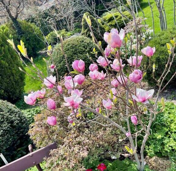 Szálloda эко отель прованс одесса