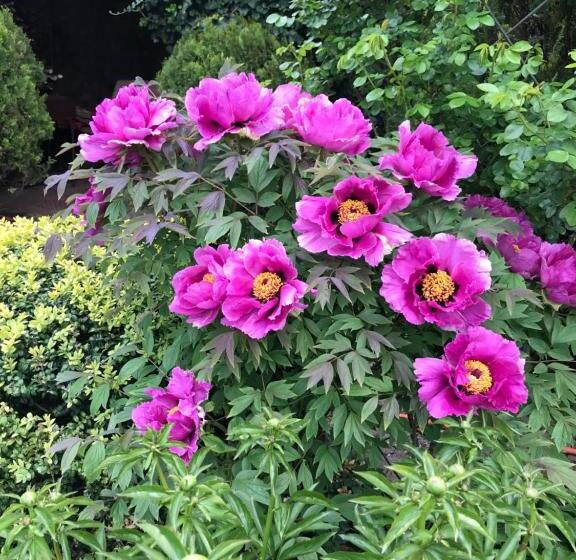 Szálloda эко отель прованс одесса