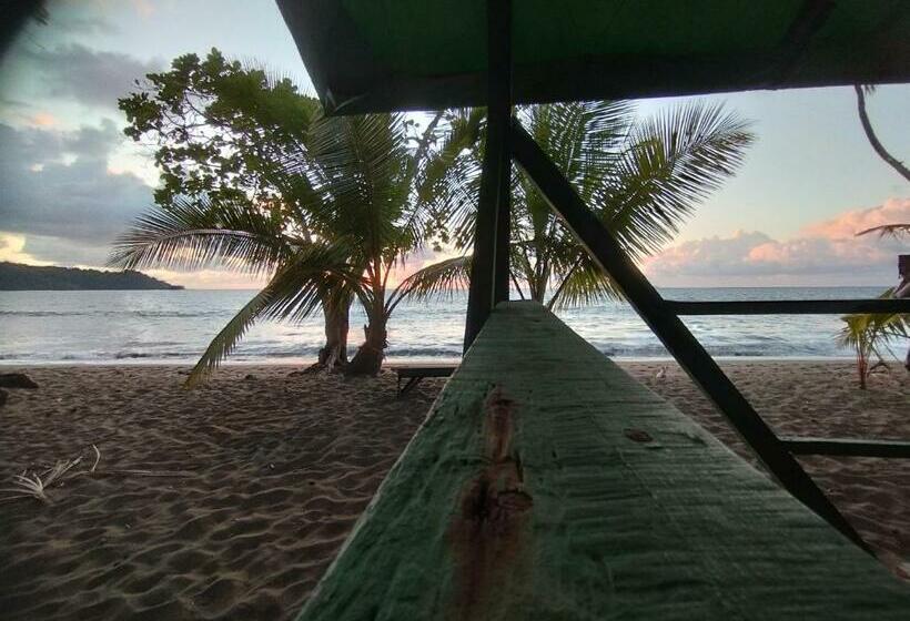בית מלון כפרי Cabaña En El Rincon Corcovado