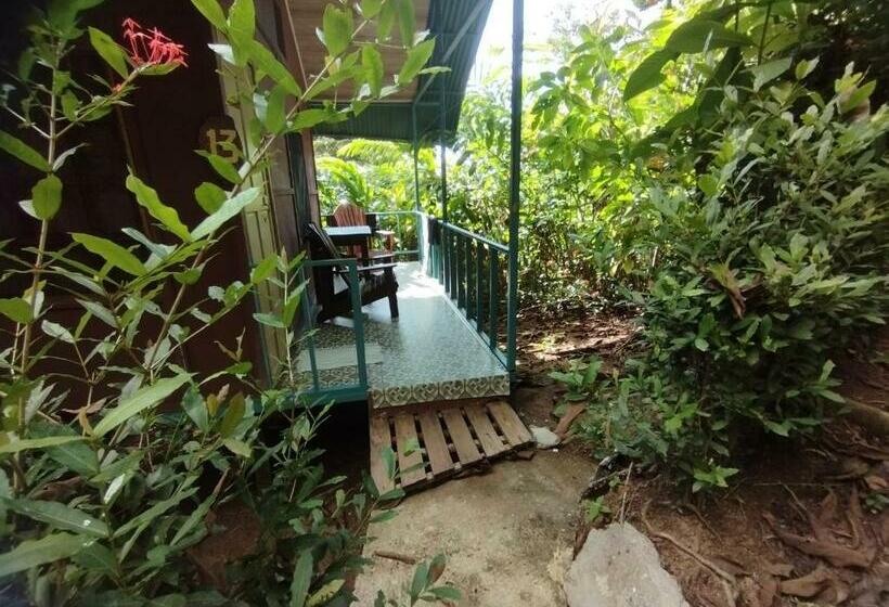 בית מלון כפרי Cabaña En El Rincon Corcovado