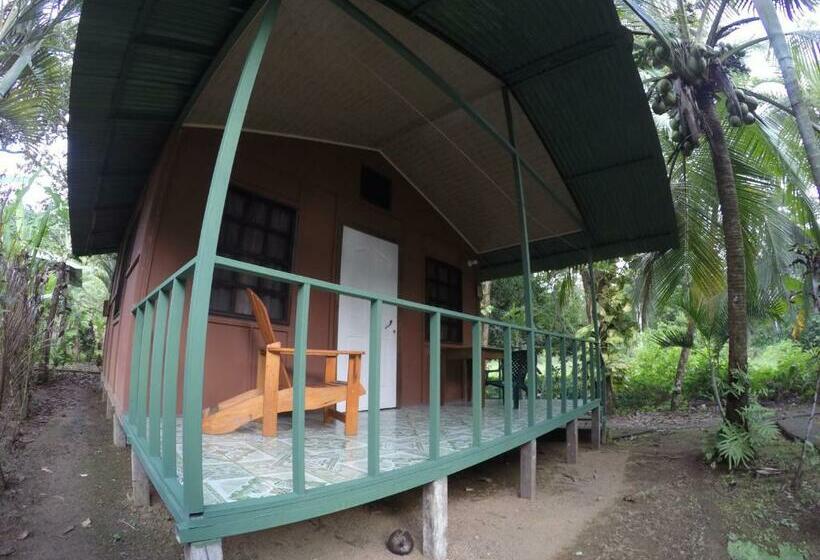 בית מלון כפרי Cabaña En El Rincon Corcovado