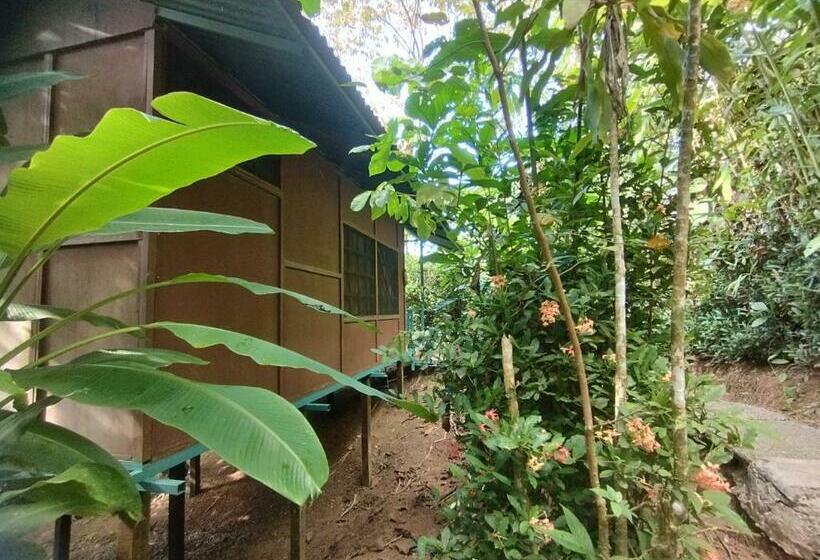 בית מלון כפרי Cabaña En El Rincon Corcovado