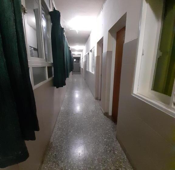 호텔 Patricias 381