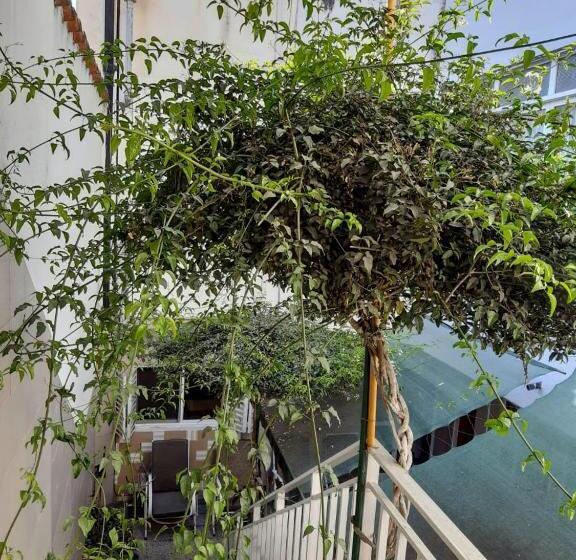 호텔 Patricias 381