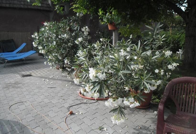 פנסיון Attila Vendégház Tápiószentmárton