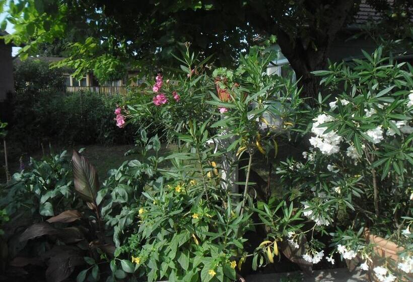 פנסיון Attila Vendégház Tápiószentmárton