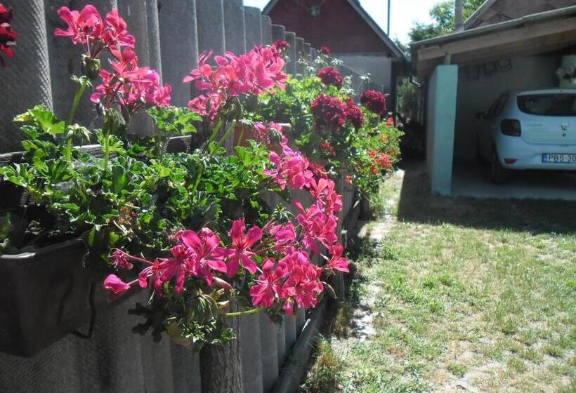 פנסיון Attila Vendégház Tápiószentmárton