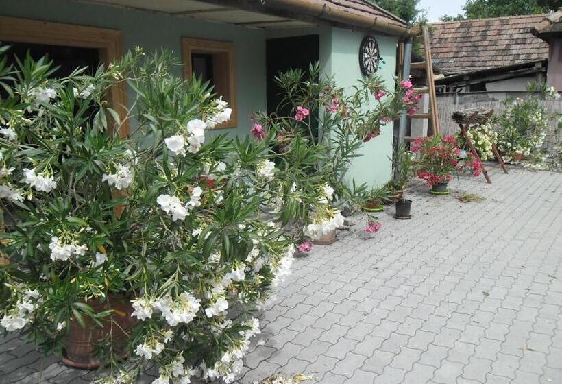 פנסיון Attila Vendégház Tápiószentmárton