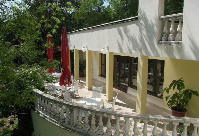 Panzió Penzion Lázeňský Dům