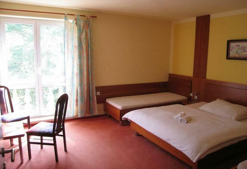 Panzió Penzion Lázeňský Dům