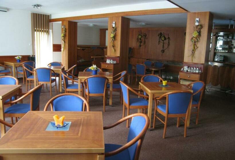 Panzió Penzion Lázeňský Dům