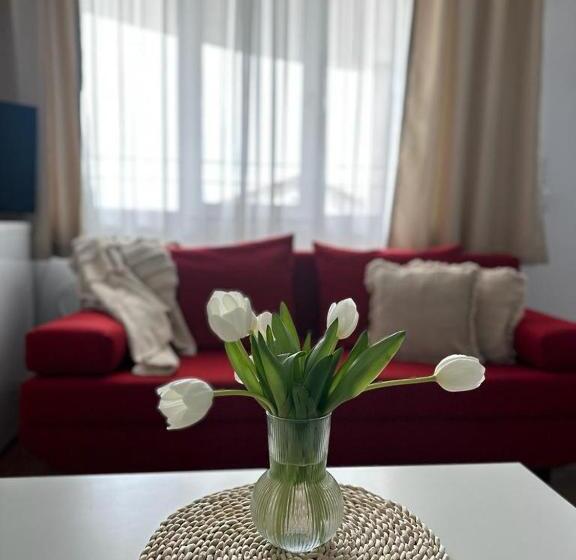 پانسیون Vila Primavera