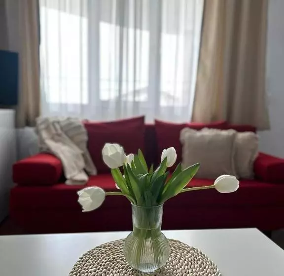 Pension Vila Primavera
