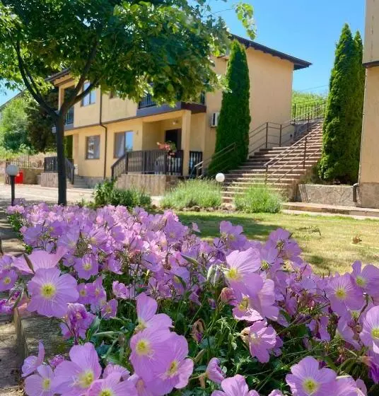 リゾートホテル Complex Terazini